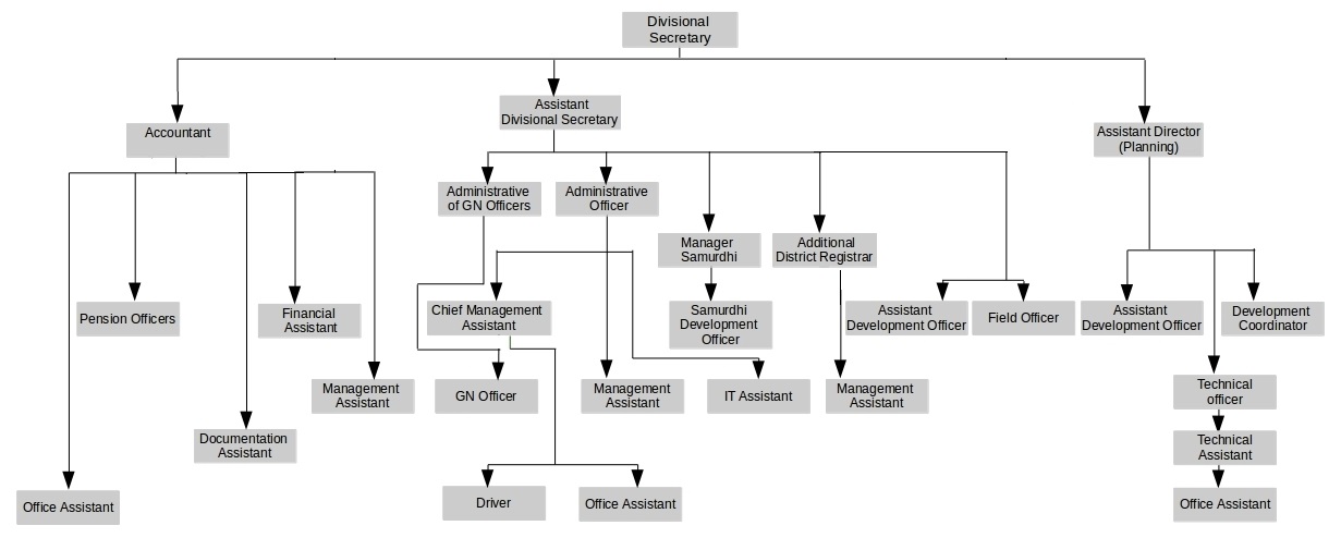 organization structure en